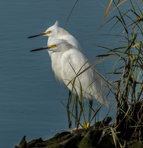 Photo by lickity split