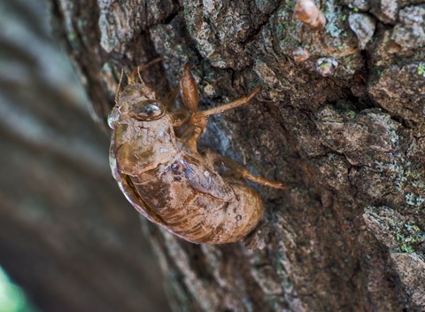 Photo by johncecilian