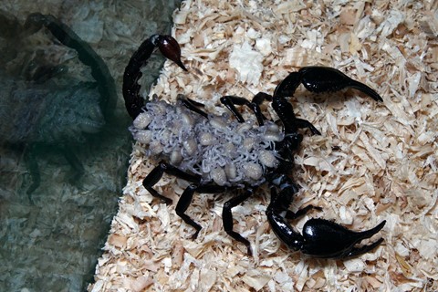 Photo by lim yau tong