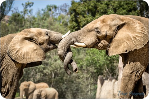 Photo by TicknorPhoto