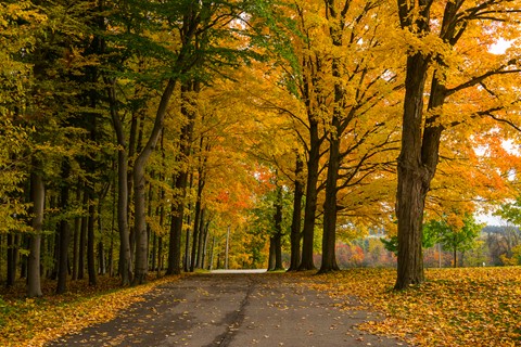 Photo by Joachim Wulfers