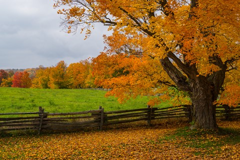 Photo by Joachim Wulfers