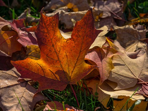 Photo by Joachim Wulfers