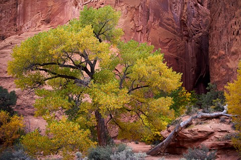 Photo by Maurice Byatt