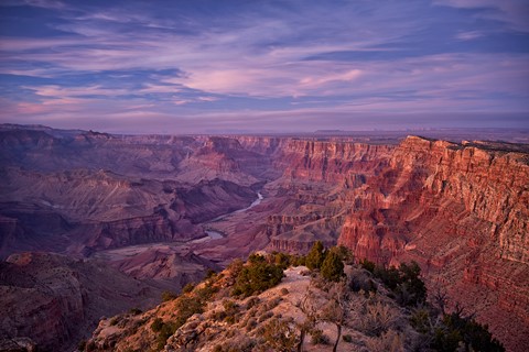 Photo by Maurice Byatt