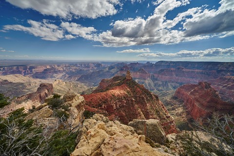 Photo by Wayne Brissette