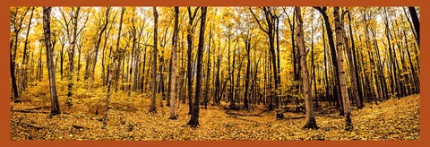 Photo by Intrigue Photography - Jess