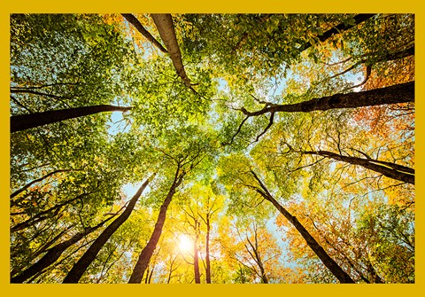 Photo by Intrigue Photography - Jess