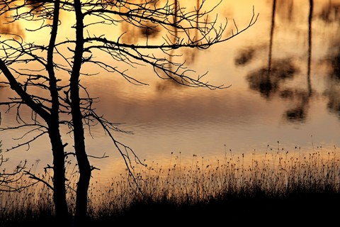 Photo by Paul Lazanov