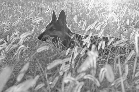 Photo by lizsalander