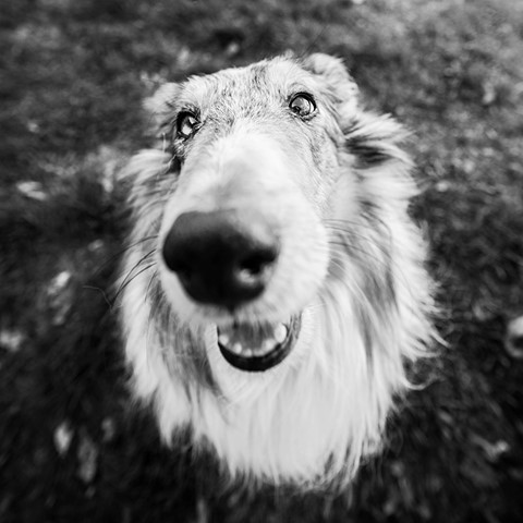 Photo by Intrigue Photography - Jess