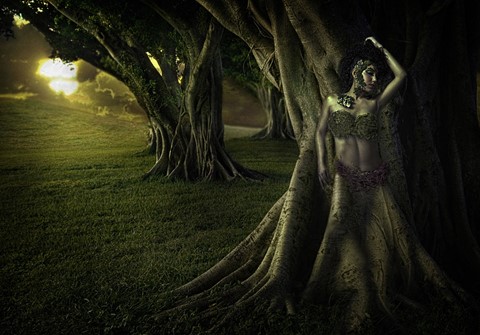 Photo by ZealusMedia