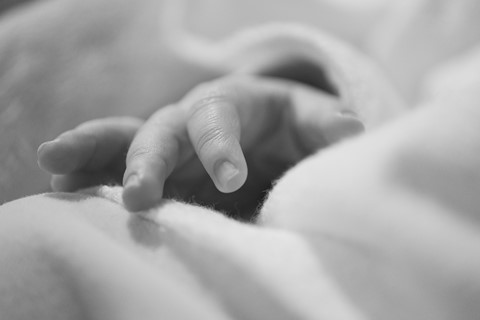 Photo by johncecilian