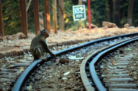 Photo by kailas bhopi