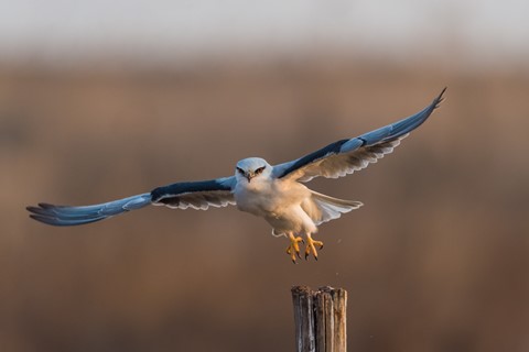 Photo by Georges2020