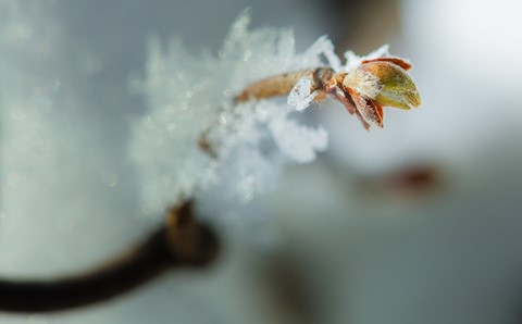 Photo by sergio devcic