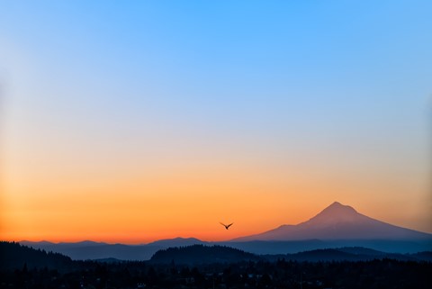 Photo by RomanJohnston