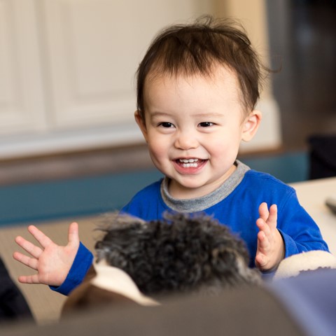 Photo by AndrewDaniels