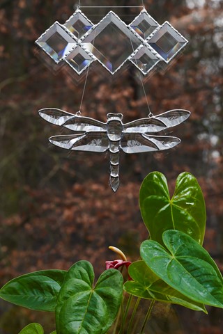 Photo by Martin Greeson