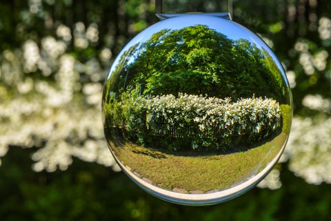 Photo by Martin Greeson