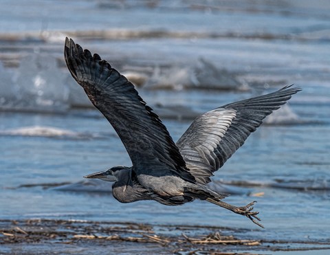 Photo by lickity split