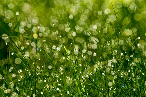 Photo by lickity split