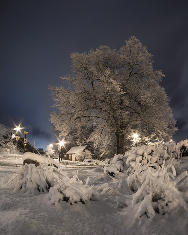 Photo by petersolymosi