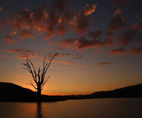 Photo by Jill Hancock