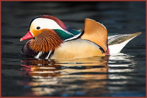 Photo by evanrassbcglobalnet