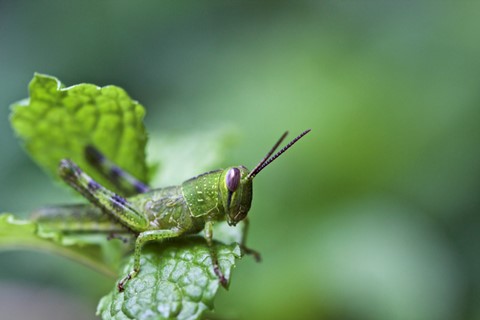 Photo by LittleMissDanger