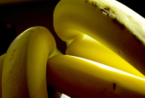 Photo by Ronald C Johnson