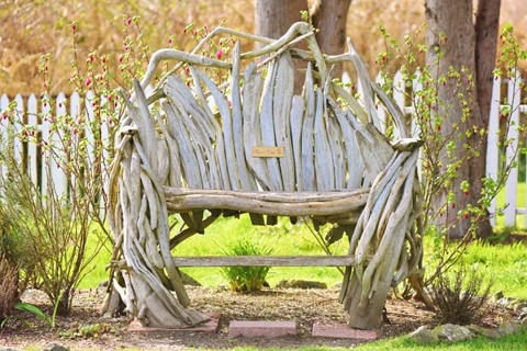 Photo by In Loving Memory.........