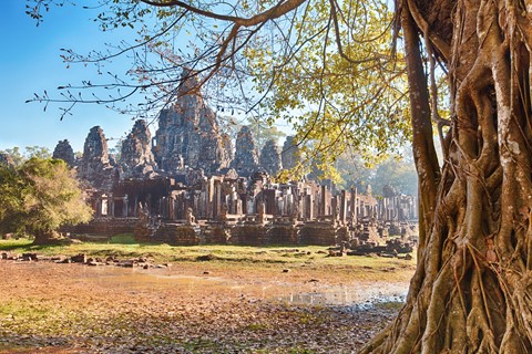 Photo by Ancient tree in Angkor, Cambodia