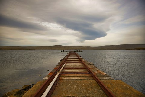 Photo by User2397752689