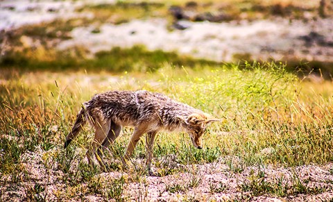 Photo by IntriguePhotography