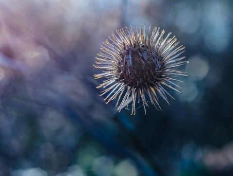 Photo by Andy Nikon Shooter