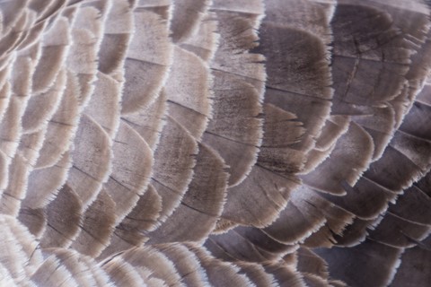 Photo by purelightglow