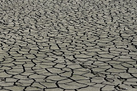 Photo by Saaneel Islam