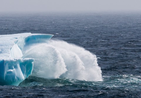 Photo by Jack Preston