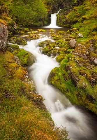 Photo by landscapelu