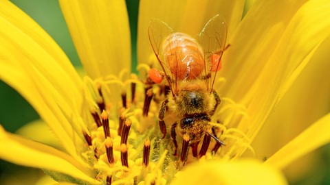 Photo by Reilly Diefenbach