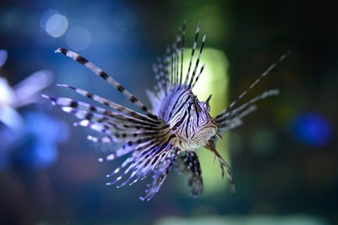 Photo by buckweat 27