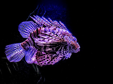 Photo by TX Photo Doc