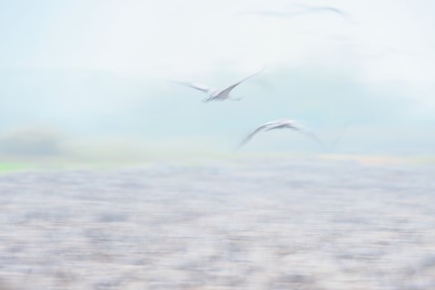 Photo by zeev kirshenboim