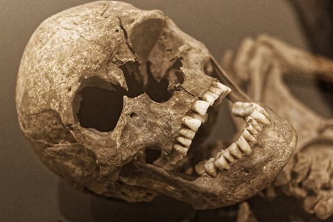 Photo by manishtushu