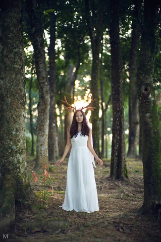 Photo by SunsetMagnet