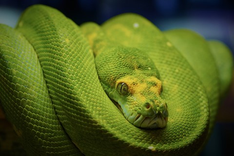 Photo by Hokkaido Jan