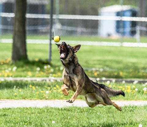 Photo by lickity split