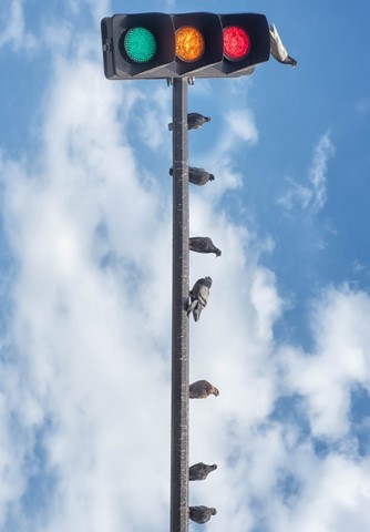 Photo by nomadistmoon