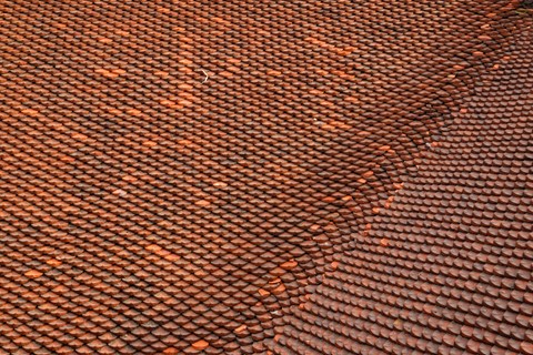 Photo by manishtushu